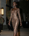 Imperial Bronze Dress